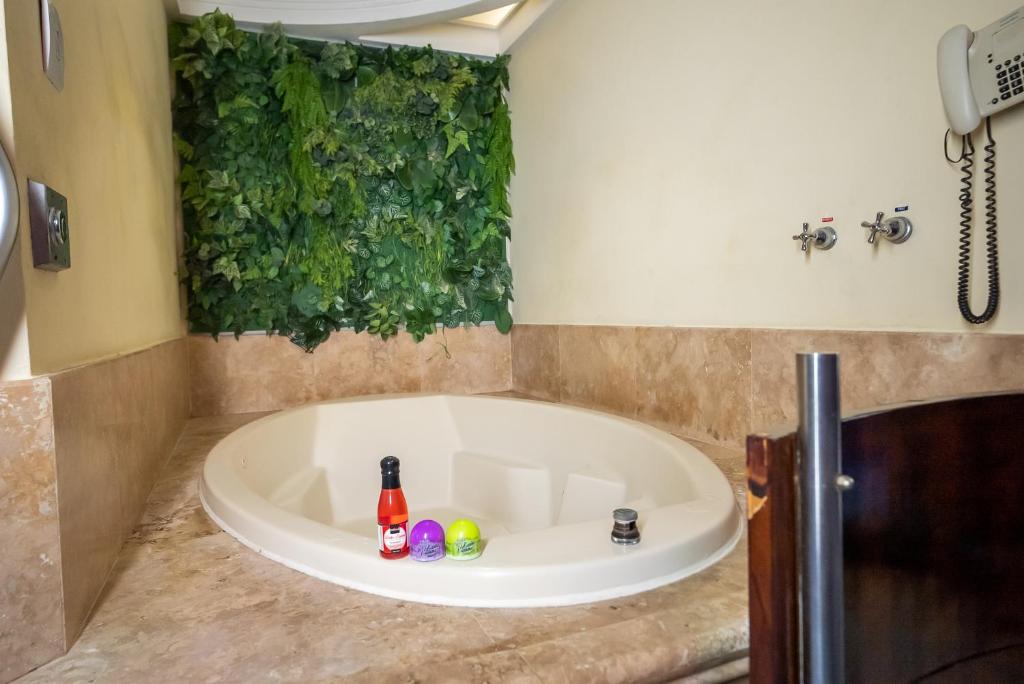 Jacuzzi no Quarto Motel Scala Salvador